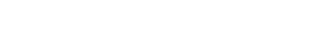 CARLO DONATI FASHION GROUP